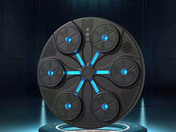 Box shield box trainer mma muzica usb 8 nivele + mănuși de box