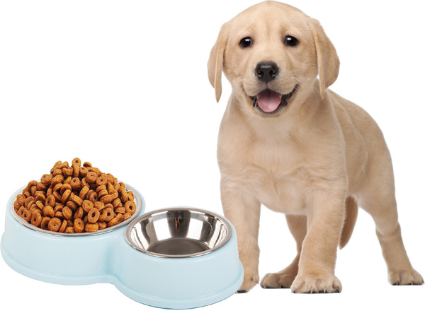 Metal double bowl for dog cat food water