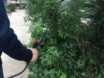 Backpack pressure sprayer garden hand sprayer lance 16l