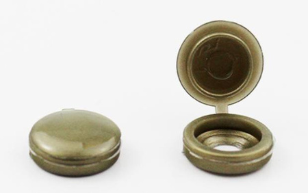 CAPUCHONS POUR VIS 100 PCS OR (400)