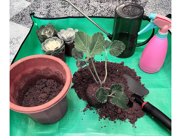 Velika podloga za presajanje za sajenje cvetja sadik vrtnih podlag