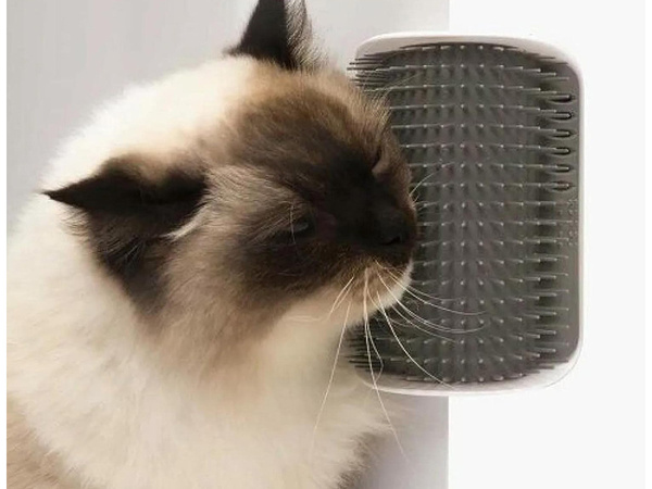 Krtača za praskanje za mačke mačji praskalnik vogal catnip mačja praskalnica