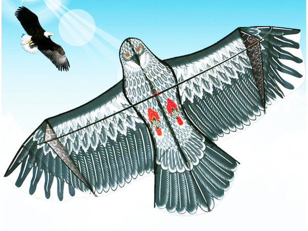 Cometa bird eagle 2m disuasor de aves con línea