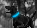 Led lighting darkness collar pentru câini și pisici reglabil 59cm