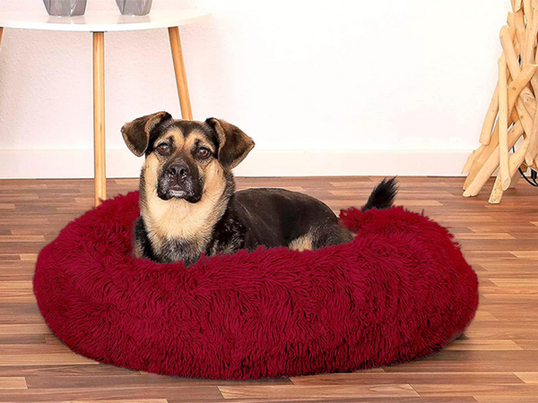 Lit pour chien pelucheux lit pour chat coussin doux lit pour canapé 80cm