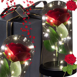 Ewige rose in glas geschenk led leuchtet box