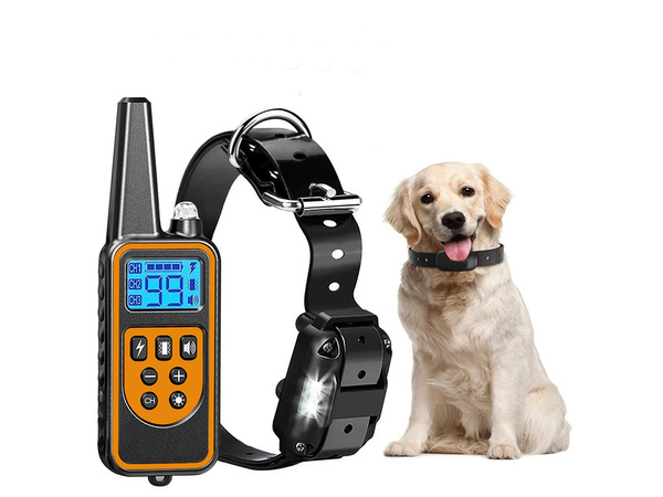 Collier de dressage électrique pour chien 800m télécommande