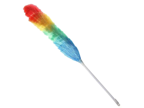 Brosse à épousseter télescopique balai