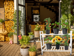Holzblumenbeet für topfblumen zweistöckiges regal auf rädern terrasse