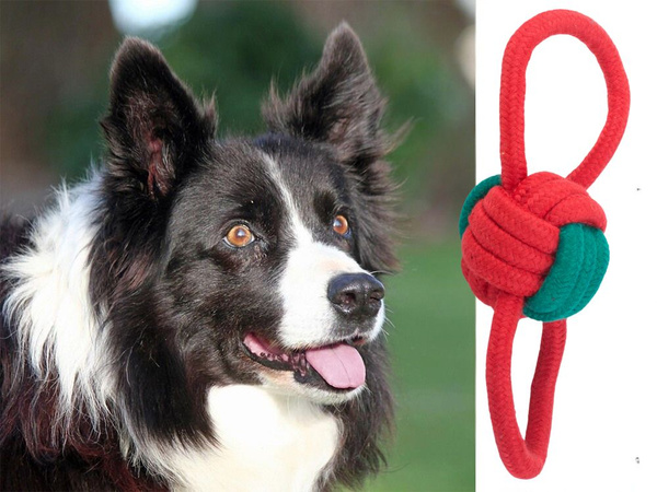 Hundespielzeug kauen tug seil stark lang