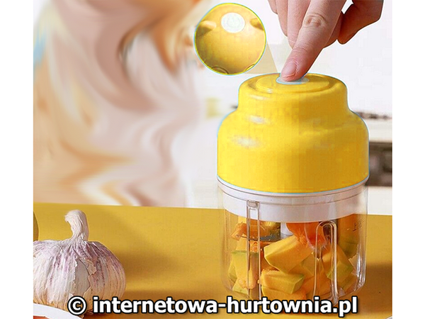 Hachoir électrique à ail et à légumes