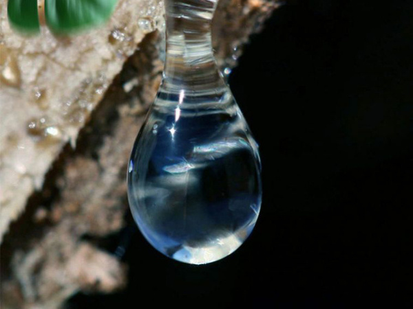 Hot pistol adhesive 11mm 300mm 36pcs 1kg