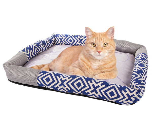 Cat bed sleeping mat scratching post playpen l