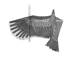 Cometa bird eagle 2m disuasor de aves con línea