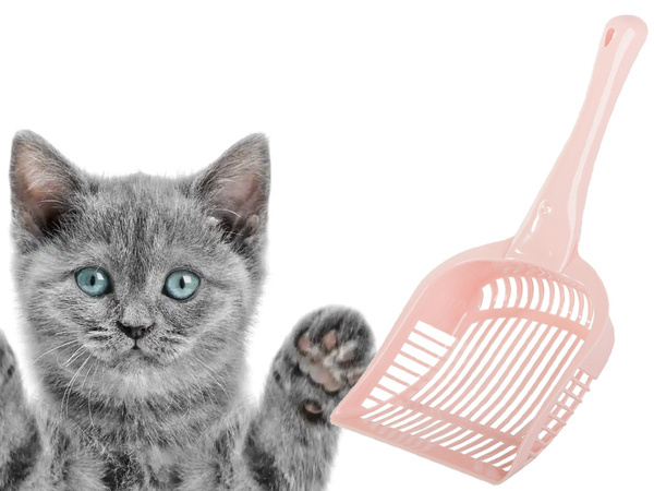 Cat litter box shovel large scoop