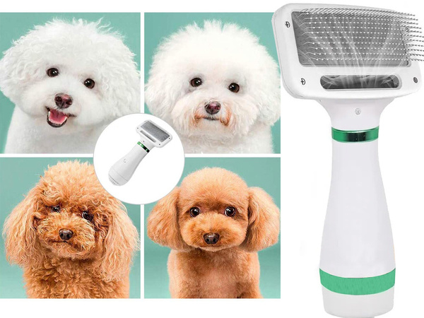 Secador de pelo cepillo peine 2en1 para mascotas perro