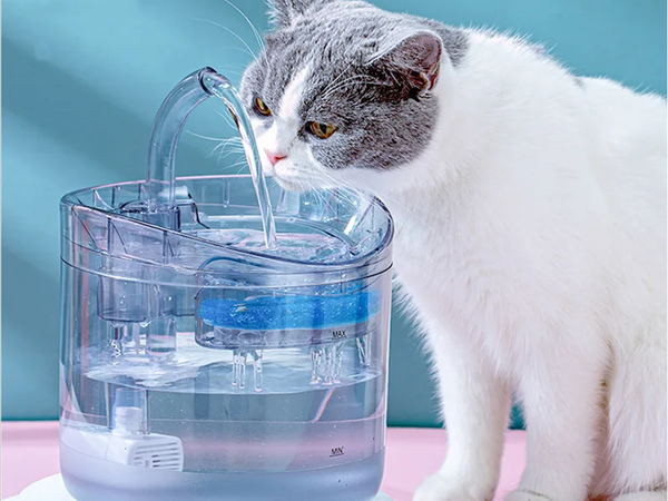 Automatische tränke für katze hund brunnen leise schüssel tränke