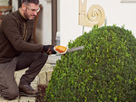 Cordless grass trimmer shrub shears hedge trimmer 2in1