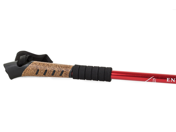 Nordic walking pole trekking pole