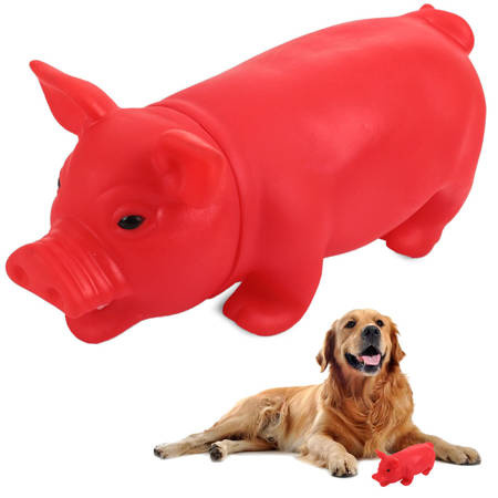 Jouet grinçant pour chien à mâcher piggy pig