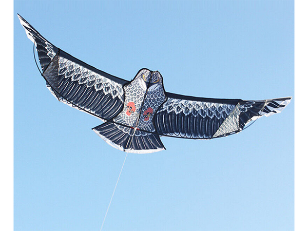 Cometa bird eagle 2m disuasor de aves con línea