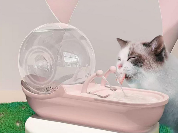 Automaatne jootaja kassi koera vee purskkaevu filter jootaja kaussi tigu