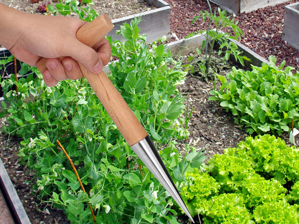 Púa para plantar bulbos brocheta de jardín medida de madera