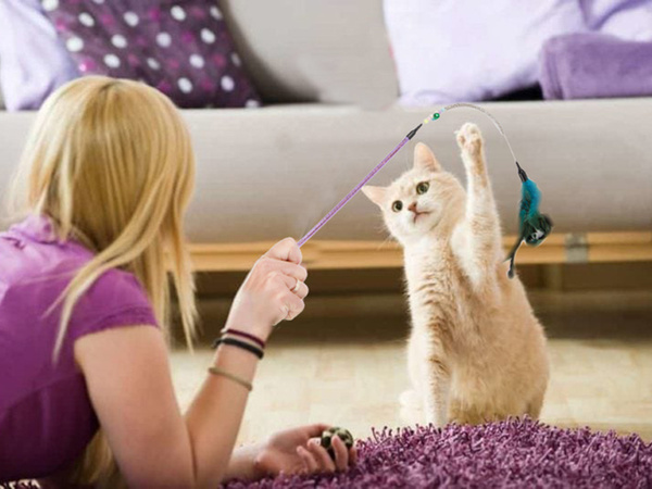 Kassi mänguasi õngitsemisvarras sulgede kolinaga mänguasi