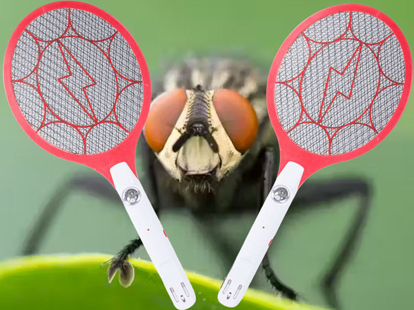 Electric fly catching palette fly catching packet mosquitoes moths acum.