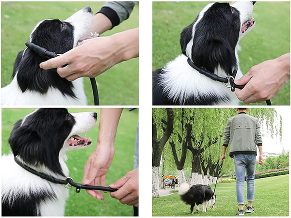 Behavioural leash for dogs rope collar