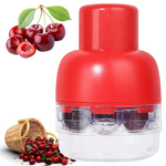 Cherry, sour cherry and olive pitter with container, manual pitter