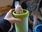 Silicone paw cleaner for dogs small cup