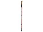 Nordic walking kork gehstock