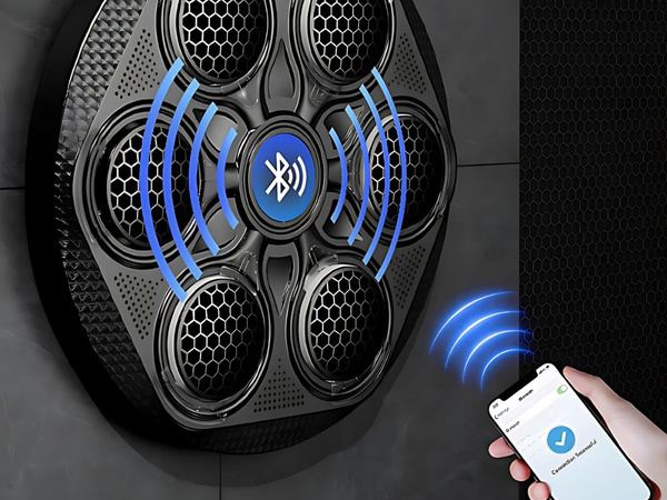 Boxen schild box trainer mma musik usb bluetooth + boxhandschuhe