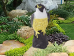 Falcon bird deterrent starlings pigeons mice large