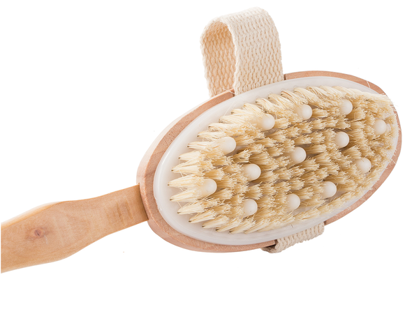 Wet dry body massage brush for the back