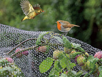 Bird netting bird netting strong 4x10