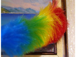 Brosse à épousseter télescopique balai
