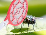 Electric fly catching palette fly catching packet mosquitoes moths acum.