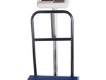Peste electronice de stocare 100kg/20g