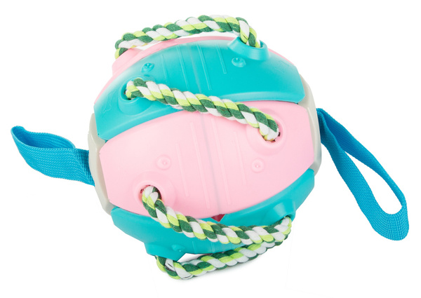 Jouet pour chien frisbee balle disque volant jouet à mâcher