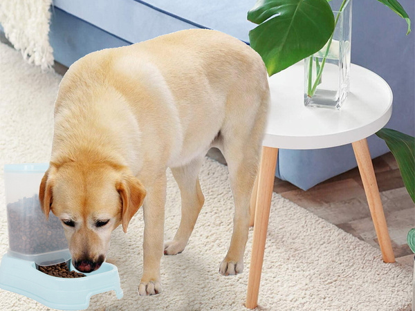 Dávkovač krmiva pro psy automatická miska na krmivo pro kočky