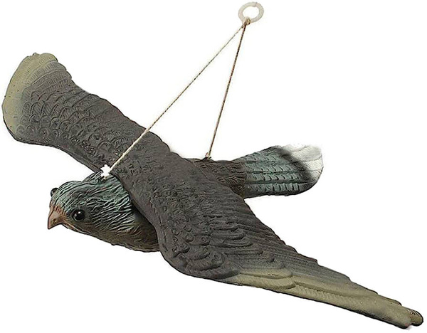 Dissuasion d'oiseaux étourneaux pigeons rongeurs faucon