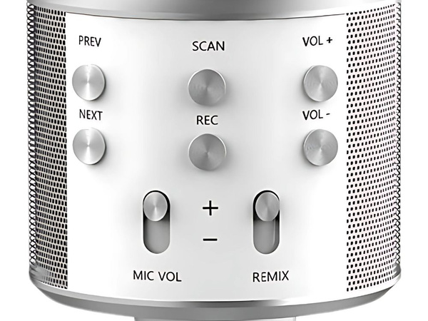 Belaidis mikrofonas bluetooth karaoke garsiakalbis apvalus su dėklu įvairūs režimai