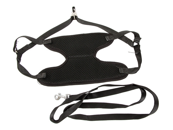 Leash with braces harness lightweight for dog cat strong