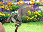 Podadora manual de jardín podadora de arbustos acero forjado