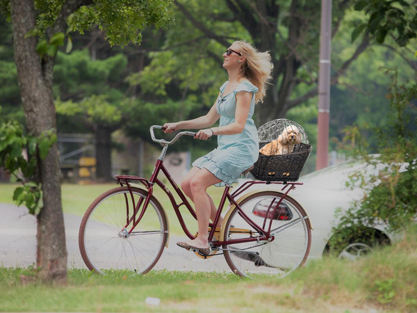 Grand panier de vélo panier de vélo tressé pour chien chat bagage