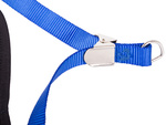 Leash with braces harness lightweight for dog cat strong