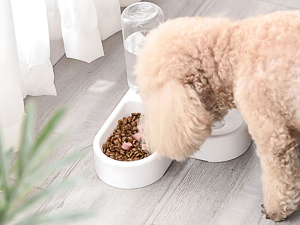 2in1 doppel-futter- und wassernapf mit 500 ml reservoir für hund und katze