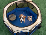 Enclos pliable pour chien lit pour animal de compagnie cage pour chat grand chenil léger